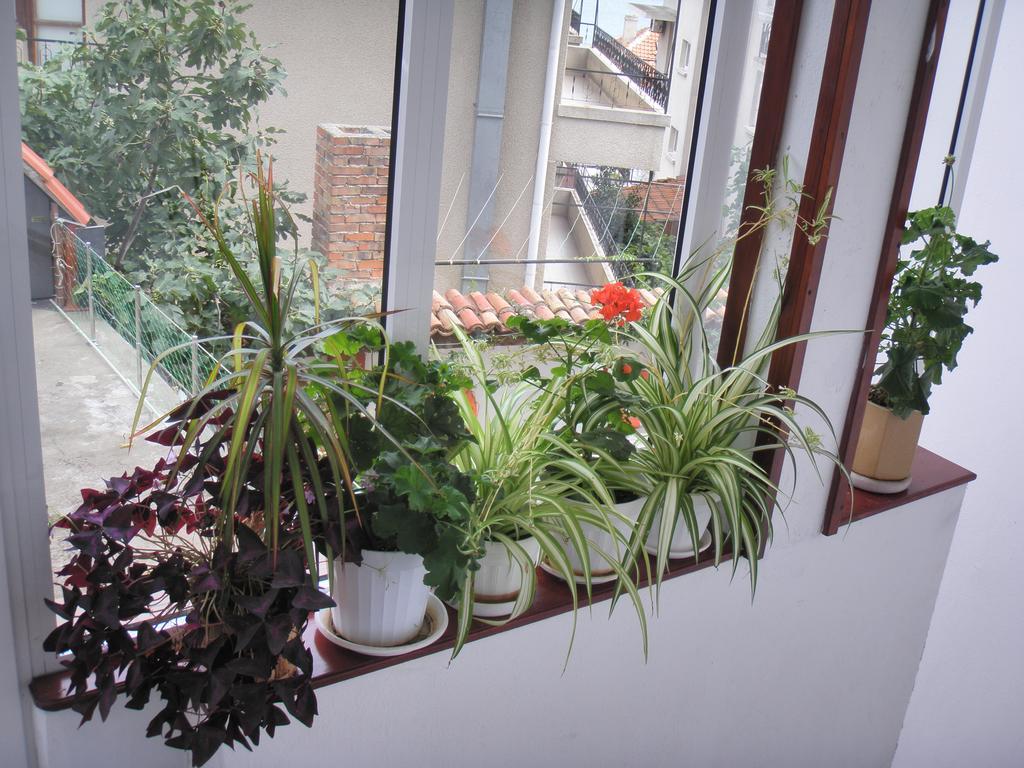 House Prodanovi Szozopol Kültér fotó